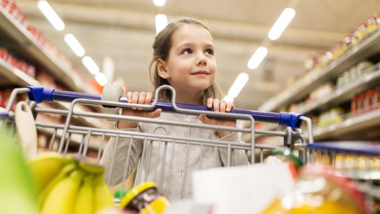 child-shopping-cart child shopping cart